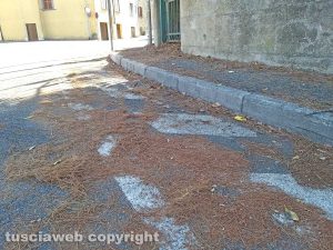 Montefiascone - Sporcizia in via Cardinal Salotti