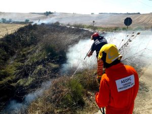 Incendio di sterpaglie alla Farnesiana