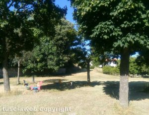 Ripulito il parco della Grotticella