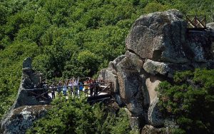 Soriano nel Cimino - I campi estivi naturalistici alla Tenuta Sant'Egidio