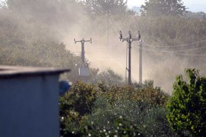 Biodiversità