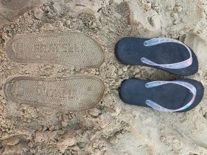 Le infradito di Fratelli d'Italia