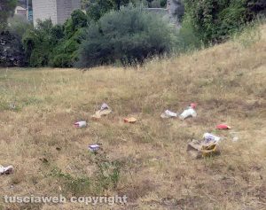 Viterbo - Rifiuti lungo le mura della città