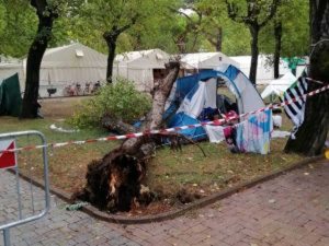 Marina di Massa - L'albero caduto sulla tenda