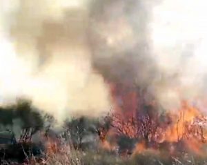 L'incendio a Tarquinia sulla Litoranea