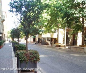 Gli alberi in via Marconi