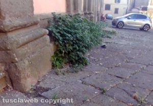 Degrado in centro a Viterbo