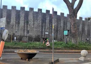 Viterbo - Orto urbano a piazzale Gramsci