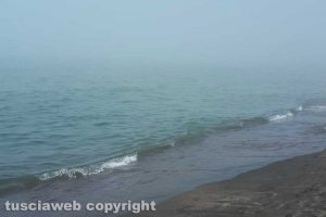 WhatsApp-Image-2020-08-11-at-12.06.02-(1)