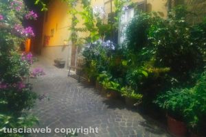 La fioritura di un vicolo di Vallerano