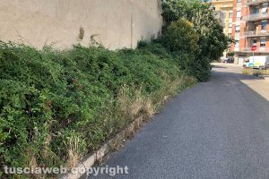 Viterbo - Incuria in via Mantova