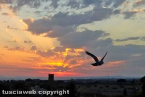 Un tramonto