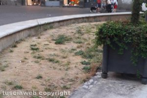 Viterbo - Sporcizia e incuria in centro