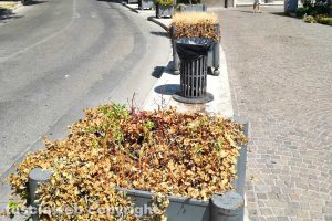 Viterbo - Incuria in via Marconi