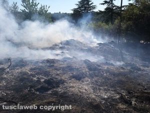 Graffignano - A fuoco un oliveto