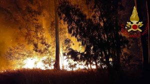 Tarquinia - Grosso incendio in un campo, nella zona dell'ex aeroporto