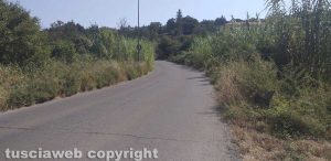 Viterbo - Strada Chiesa Nuova invasa dalle erbacce