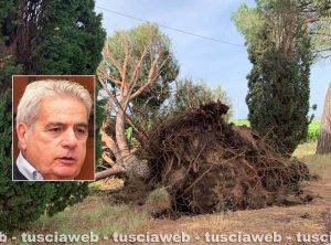 Viterbo - I danni del maltempo nella Tuscia - Nel riquadro: il sindaco Giovanni Arena