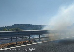 Sterpaglie in fiamme tra Orte e Attigliano