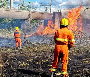 Tarquinia - Intervento dei vigili del fuoco per spegnere un incendio