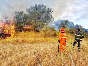 Tarquinia - Intervento dei vigili del fuoco per spegnere un incendio