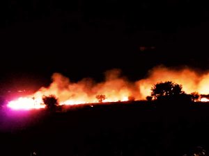Tarquinia - Intervento dei vigili del fuoco per spegnere un incendio