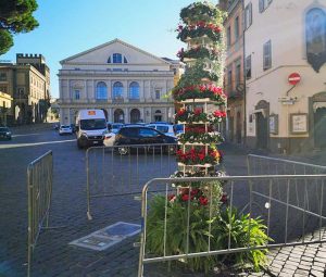 Viterbo - L'installazione floreale a piazza del Teatro