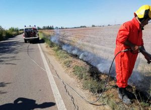 Tarquinia - Incendio di sterpaglie sulla strada provinciale Litoranea