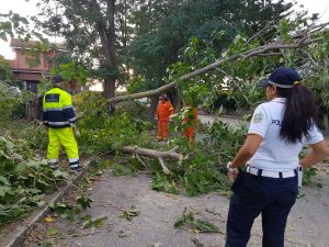 Tarquinia - Maltempo - Volontari Aeopc al lavoro