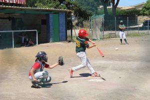 Sport - Baseball - Leonardo Bertollini