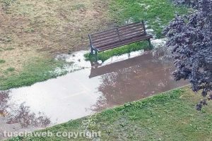 Viterbo - Irrigatori fuori direzione al parco Michelangelo