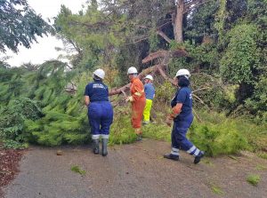 Aeopc e carabinieri forestali in azione