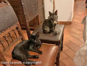 Noi siamo pronti, ma quando si mangia?