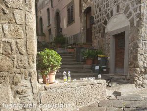 Viterbo - Bicchieri e bottiglie lasciati per terra a San Pellegrino