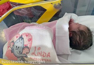 È nata Linda Di Prospero