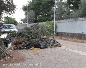 Viterbo - La discarica a cielo aperto in via Bordoni