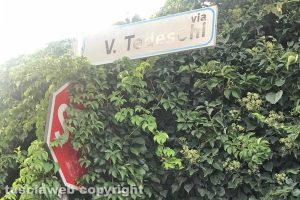Viterbo - Incuria in via Valerio Tedeschi