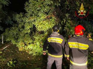 Maltempo - Vigili del fuoco