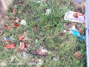 Viterbo - Rifiuti vicino all'ingresso della scuola Alceste Grandori