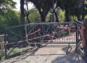 Transenne al laghetto di Pratogiardino