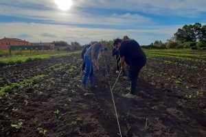 Tarquinia - Donate 1700 piantine da orto alla sezione di agraria dell'istituto Cardarelli