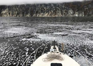 Russia, disastro ambientale in Kamchatka