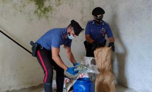 Burgos - La droga sequestrata