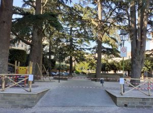 Farnese - Cedri monumentali abbattuti