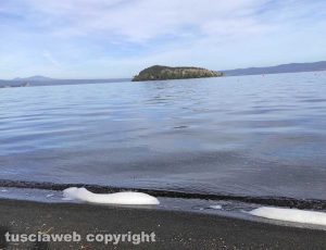 Bolsena - Sversamento nel lago di Bolsena