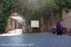 Viterbo - Il muro invaso dalla vegetazione in piazza San Carluccio