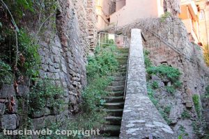 Viterbo - Via delle Mole