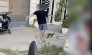 Il video postato sui social