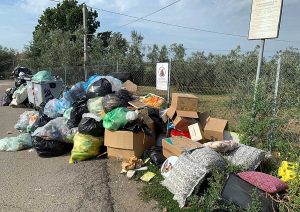 Viterbo - isola di prossimità in strada Montigliano