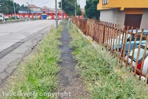 Viterbo - Incuria sul marciapiede in via Domenico Bastianini
